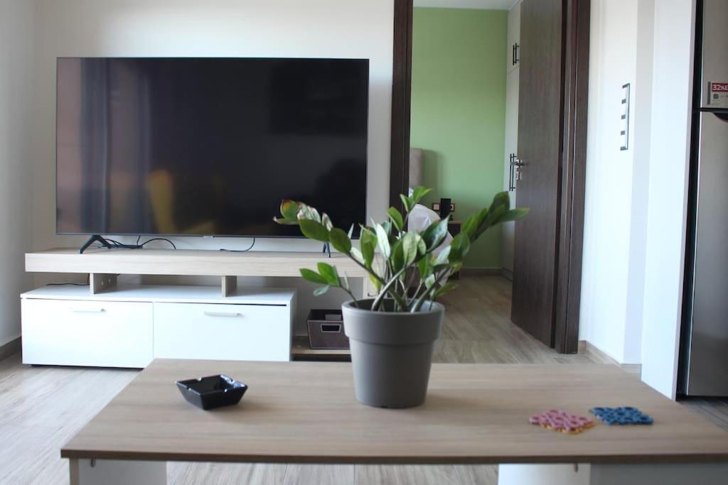 Agnes Apartment Filopappou 雅典 外观 照片
