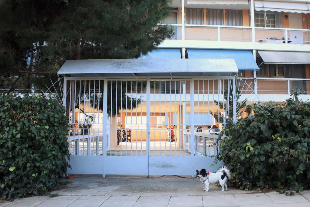 Agnes Apartment Filopappou 雅典 外观 照片