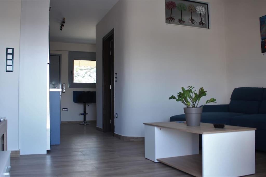 Agnes Apartment Filopappou 雅典 外观 照片